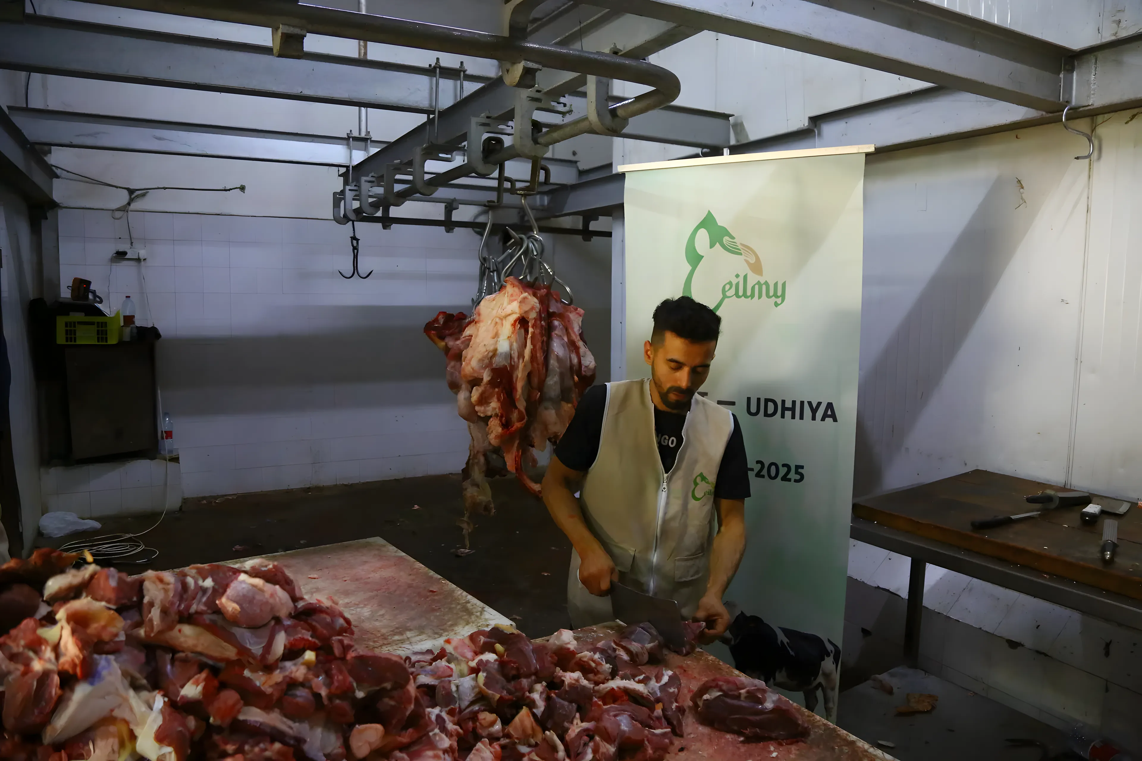 Distribution alimentaire en Cisjordanie.